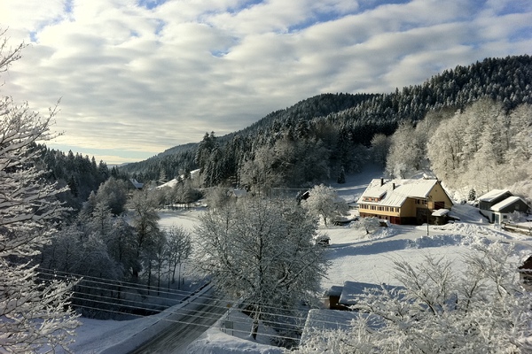 Ferienwohnung in Alpirsbach 11