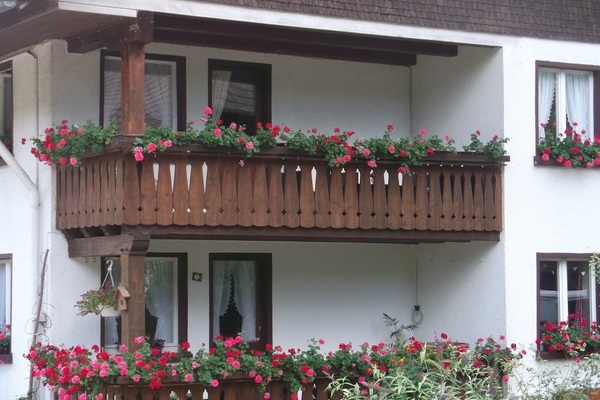 Bed and Breakfast in Buchenbach 11