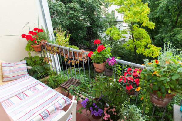 Bed and Breakfast in Frankfurt am Main 5