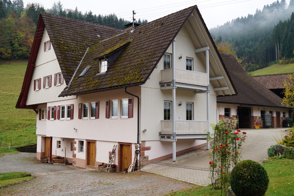 Ferienwohnung in Oberwolfach 2