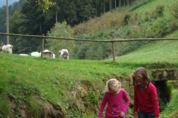 Ferienwohnung in Oberwolfach 14