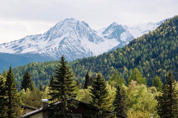 Ferienwohnung in Seefeld in Tirol 11