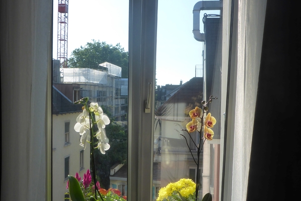 Bed and Breakfast in Zürich 23