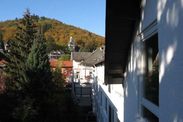 Ferienwohnung in Bad Harzburg 9