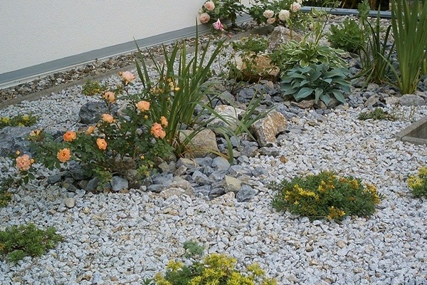 Ferienwohnung in Bad Kissingen 10