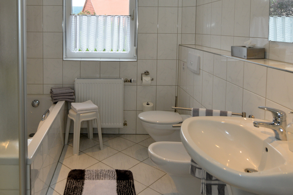 Ferienwohnung in Badenhausen 8