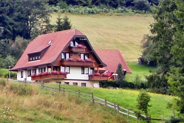 Ferienwohnung in Baiersbronn 1