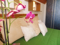 Feriendomizil für Gruppen bis zu 24 Personen