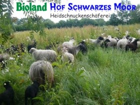FeWo - Hof Schwarzes Moor