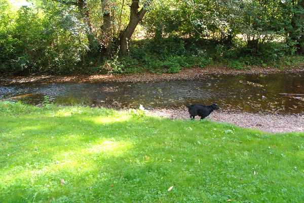 Ferienwohnung in Bengel 20