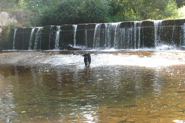 Ferienwohnung in Bengel 21