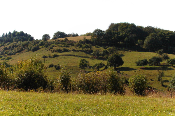 Ferienwohnung in Bengel 23