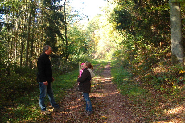 Ferienwohnung in Bengel 19