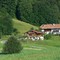 Bed and Breakfast in Berchtesgaden 2