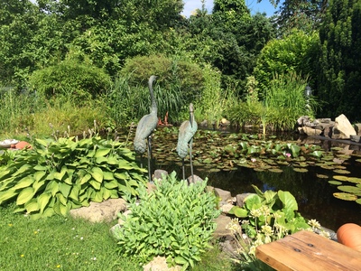 Buchen Sie günstige möbliertes Apartment in Bergisch Gladbach
