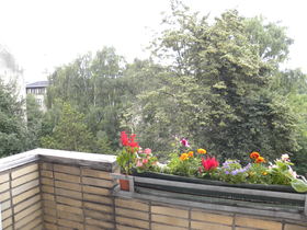 Sunny apartment no. 2 in Berlin city