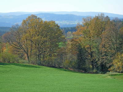 Buchen Sie günstige Ferienhaus in Böbrach