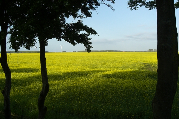 Bed and Breakfast in Börgerende 8