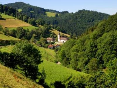 Buchen Sie günstige möbliertes Apartment in Bollschweil