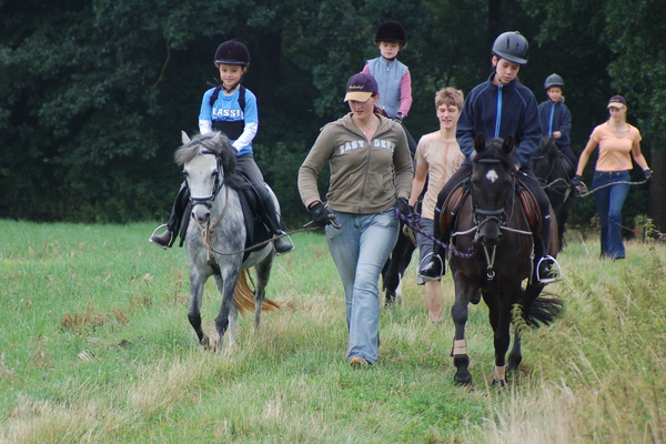 Ferienwohnung in Bommelsen 3