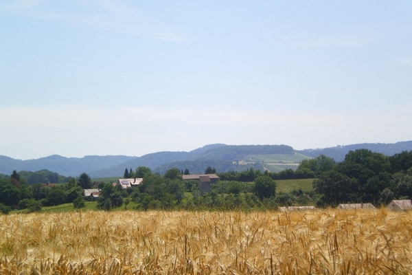 Ferienwohnung in Scheppach 3