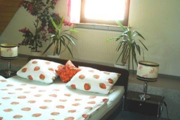 Ferienwohnung in Stralsbach 6