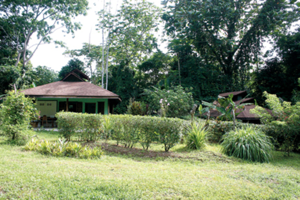 Haus in Cahuita 1