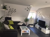 Documenta-Wohnung Nähe Kassel