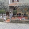 Bed and Breakfast in Carmignano 6