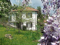 B&amp;B Al Mutpron Verbania