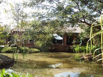 Kinkala Deluxe 1-Bedroom Garden Apartment 1