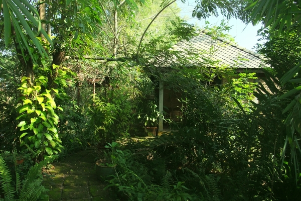 Haus in Chiang Mai 4