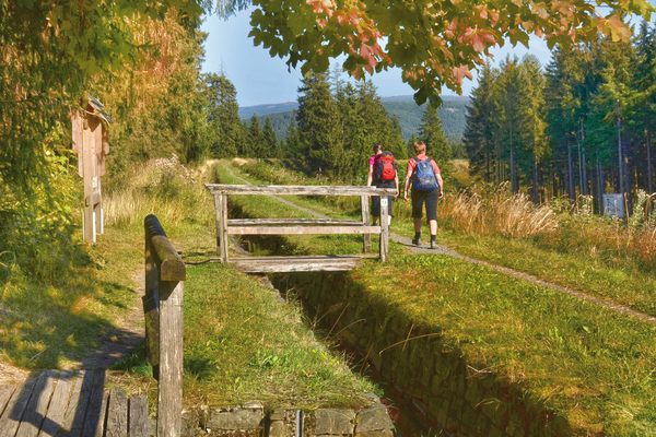 Ferienwohnung in Clausthal-Zellerfeld 9