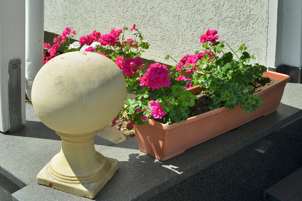 Ferienwohnung in Clausthal-Zellerfeld 11