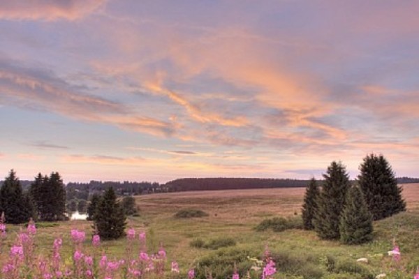 Ferienwohnung in Clausthal-Zellerfeld 6