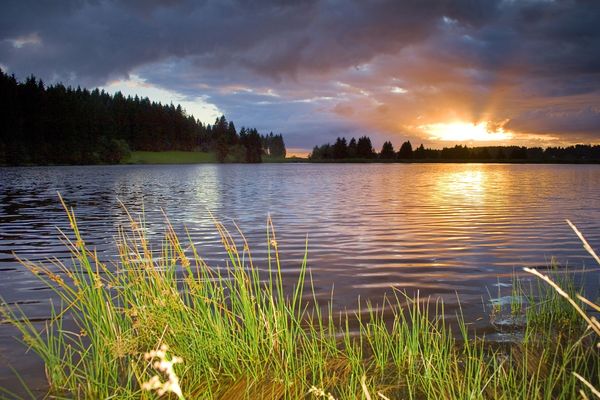 Ferienwohnung in Clausthal-Zellerfeld 5