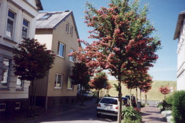 Ferienwohnung in Cuxhaven 1