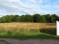 Urlaub in Grün-Ruhelage :-)