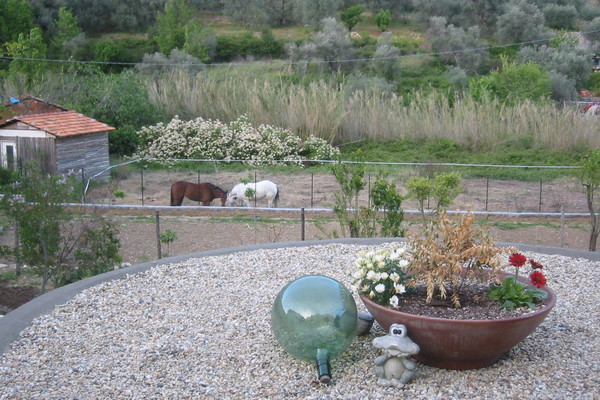 Ferienwohnung in Diano Castello 2