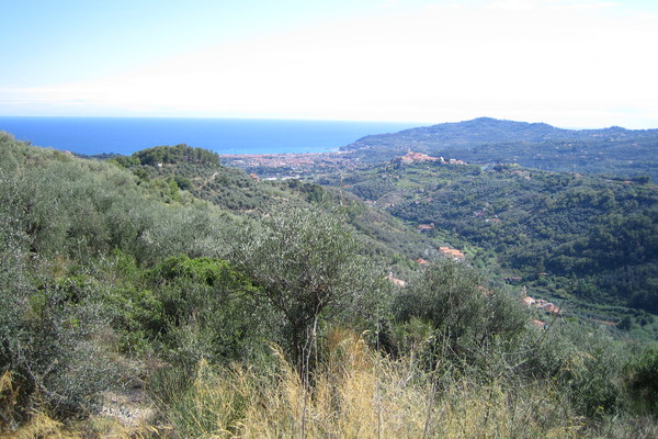 Ferienwohnung in Diano San Pietro 8