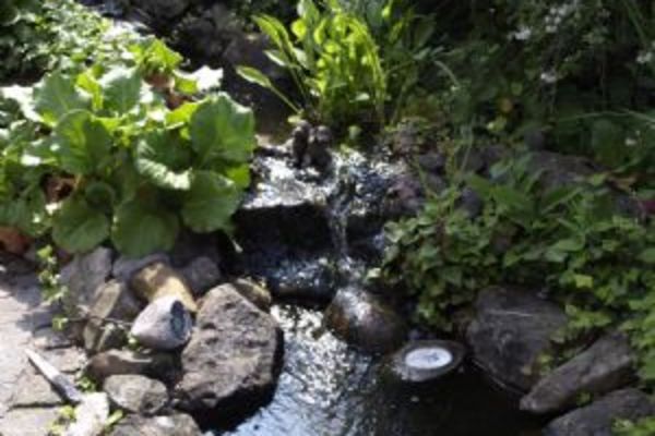 Ferienwohnung in Dorsten 7