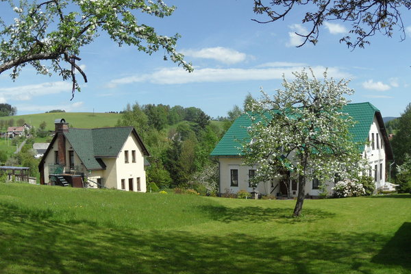 Bed and Breakfast in Držkov 1