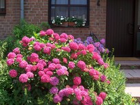 Bed&amp;Breakfast zum Wohlfühlen