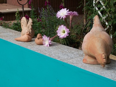 Buchen Sie günstige Wohnung in Eppelborn