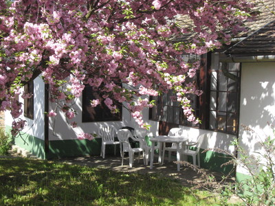 Buchen Sie günstige Feha in Erdösmarok