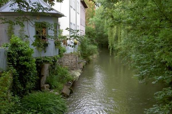 Ferienwohnung in Erfurt 6