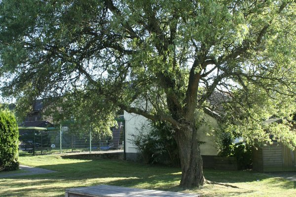 Ferienwohnung in Essen 16