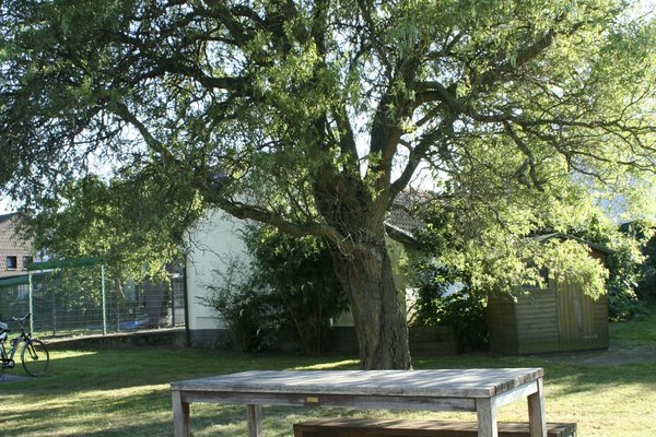 Ferienwohnung in Essen 17