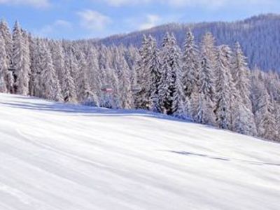 Buchen Sie günstige Wohnung in Freiburg