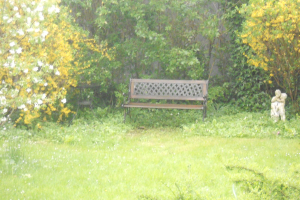 Ferienwohnung in Freiburg 5